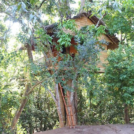 Tree House-Midigama Villa Уелигама Екстериор снимка