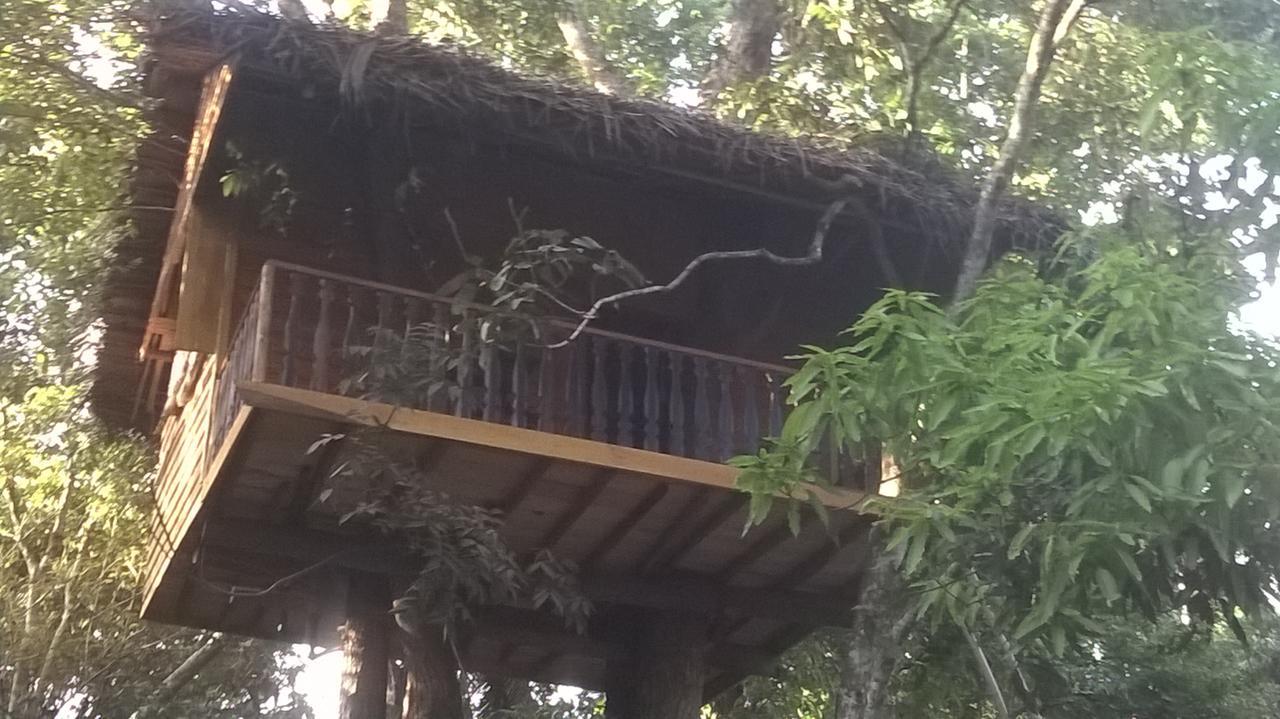 Tree House-Midigama Villa Уелигама Екстериор снимка