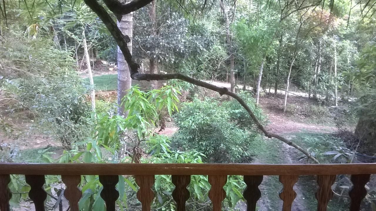 Tree House-Midigama Villa Уелигама Екстериор снимка
