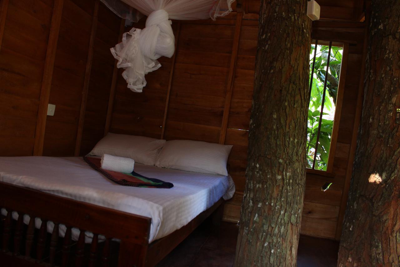 Tree House-Midigama Villa Уелигама Екстериор снимка