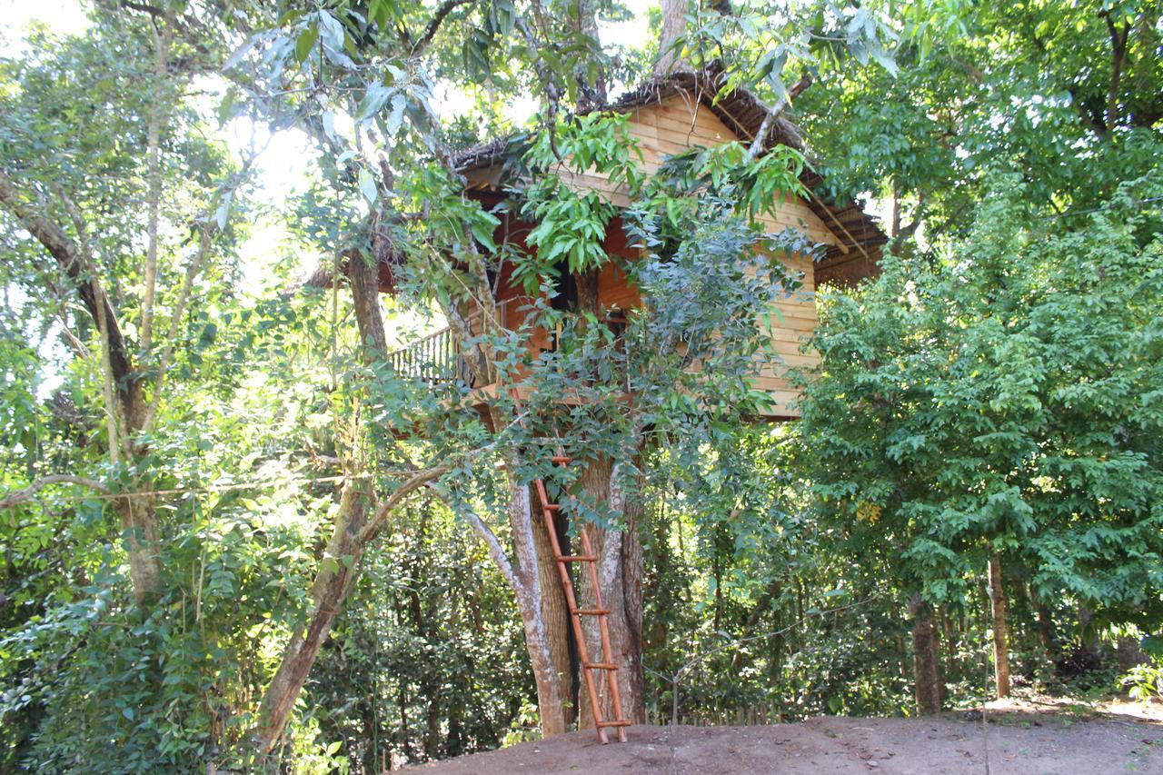 Tree House-Midigama Villa Уелигама Екстериор снимка