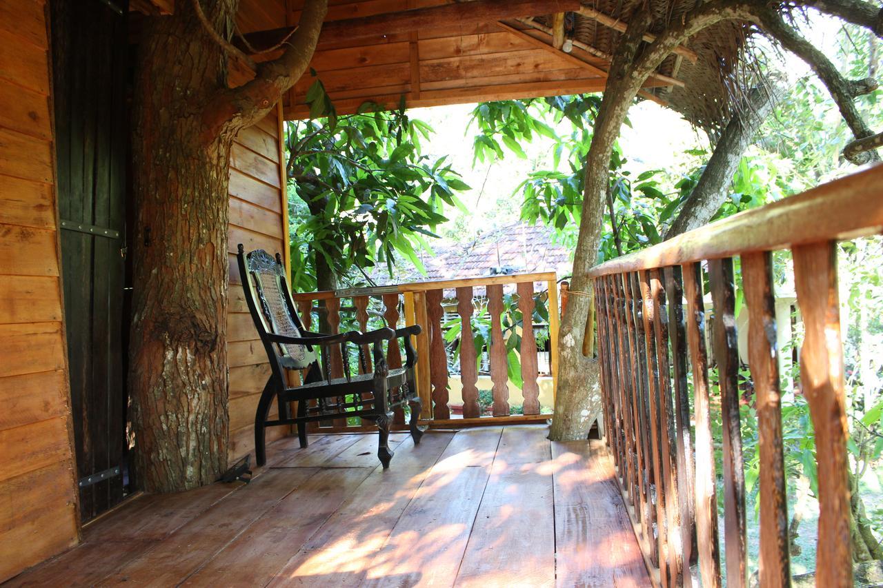 Tree House-Midigama Villa Уелигама Екстериор снимка