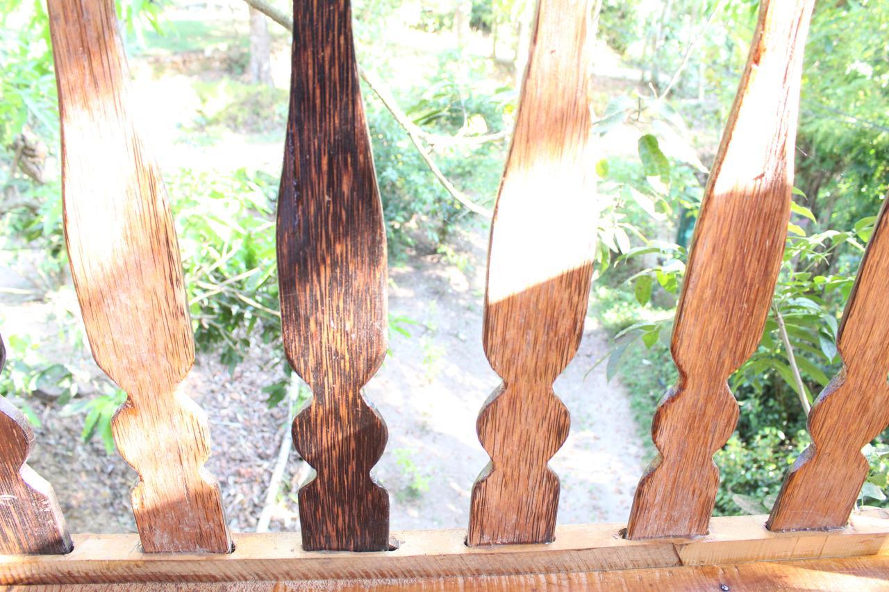 Tree House-Midigama Villa Уелигама Екстериор снимка