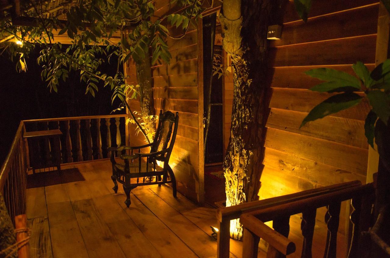 Tree House-Midigama Villa Уелигама Екстериор снимка