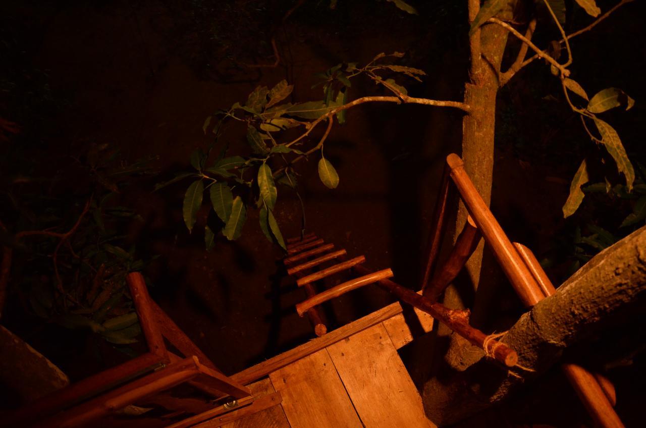 Tree House-Midigama Villa Уелигама Екстериор снимка