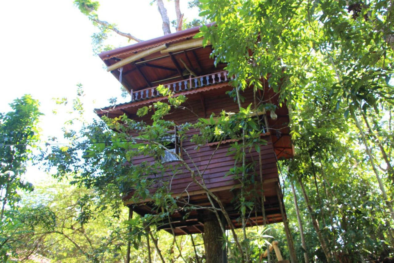 Tree House-Midigama Villa Уелигама Екстериор снимка