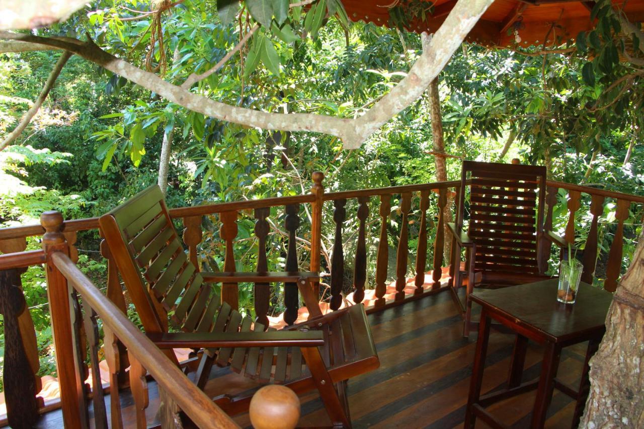 Tree House-Midigama Villa Уелигама Екстериор снимка