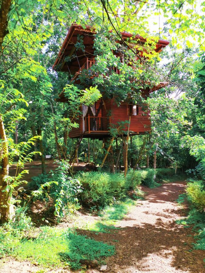 Tree House-Midigama Villa Уелигама Екстериор снимка